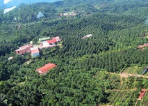 Guatemala Finca Nueva Granada