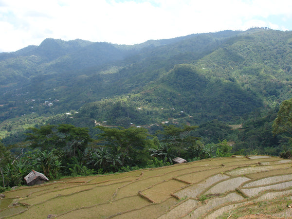 Indonesia Flores
