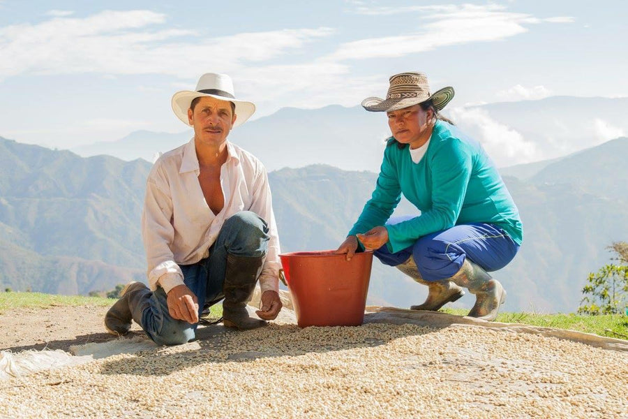 Giraldo Blend Colombia