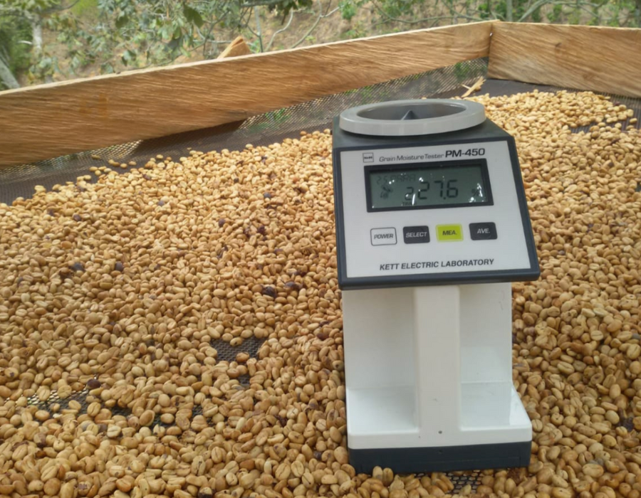 Colombia La Yalena