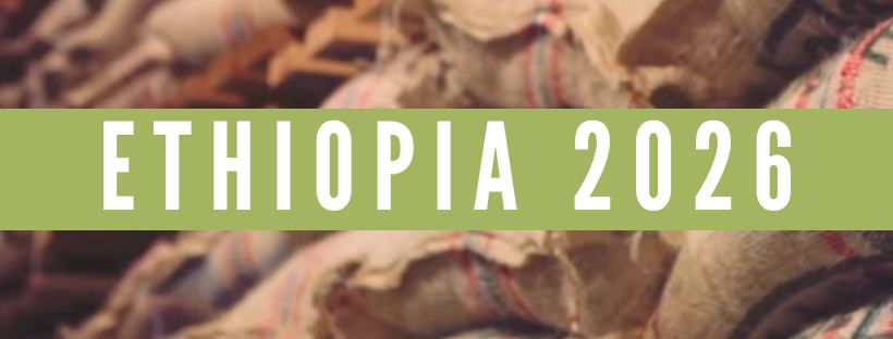 New crop Ethiopian coffee from Kuru and Worka Sakaro