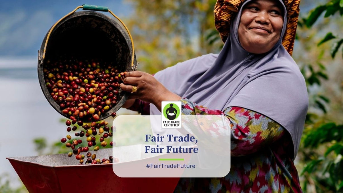 Fair Trade Certified green coffee from Balzac Brothers