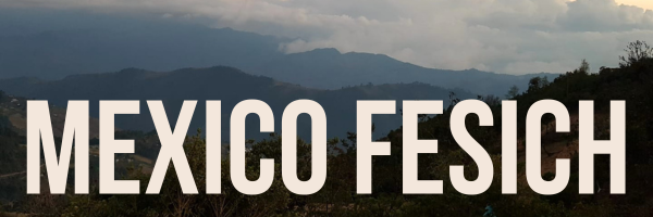 FESICH Fair Trade Organic coffee from Chiapas, Mexico