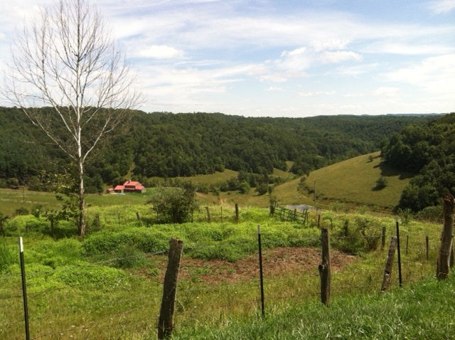 nature