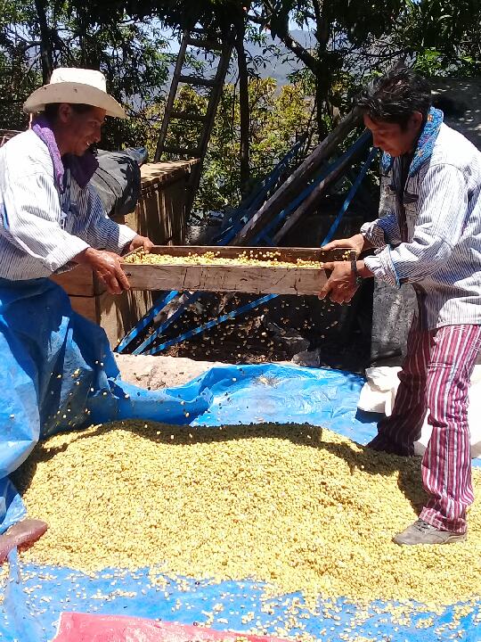Guatemala Huehuetenango Ixlama