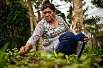 Nicaragua RA Aldea Global