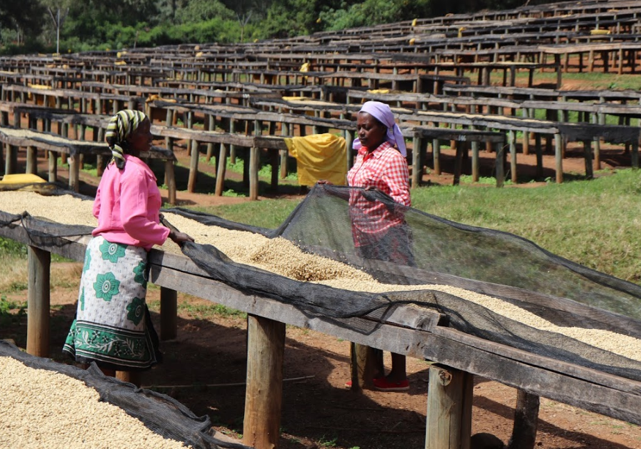 Kenya Kiambu Ibonia Estate