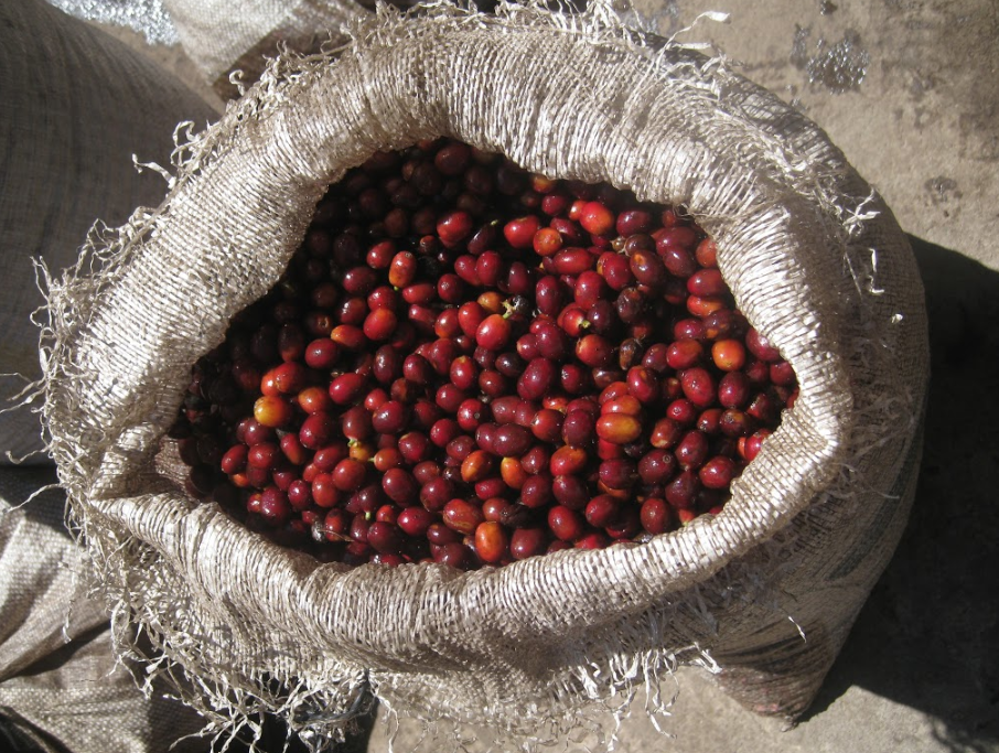 Guatemala Finca Medina Anexo Portal