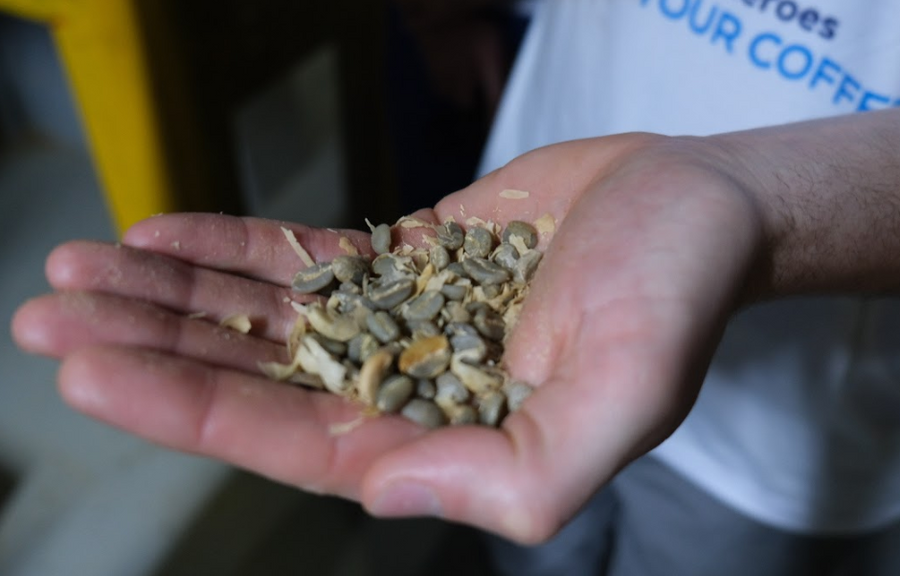 Colombia Finca La Cascada