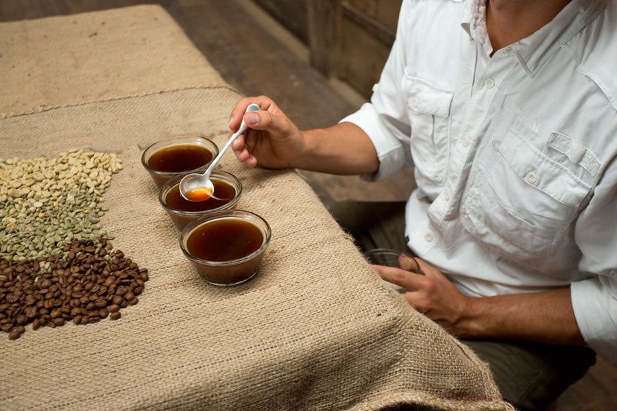 Aquiares Washed Peaberry Costa Rica