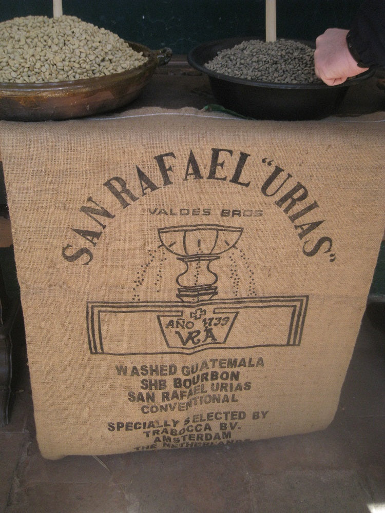 Guatemala Finca San Rafael Urias