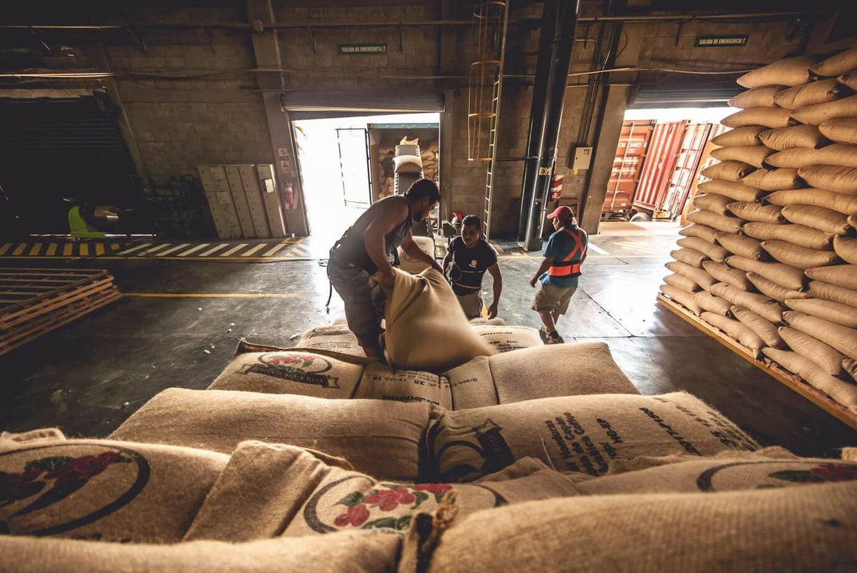 Honduras Beneficio Santa Rosa