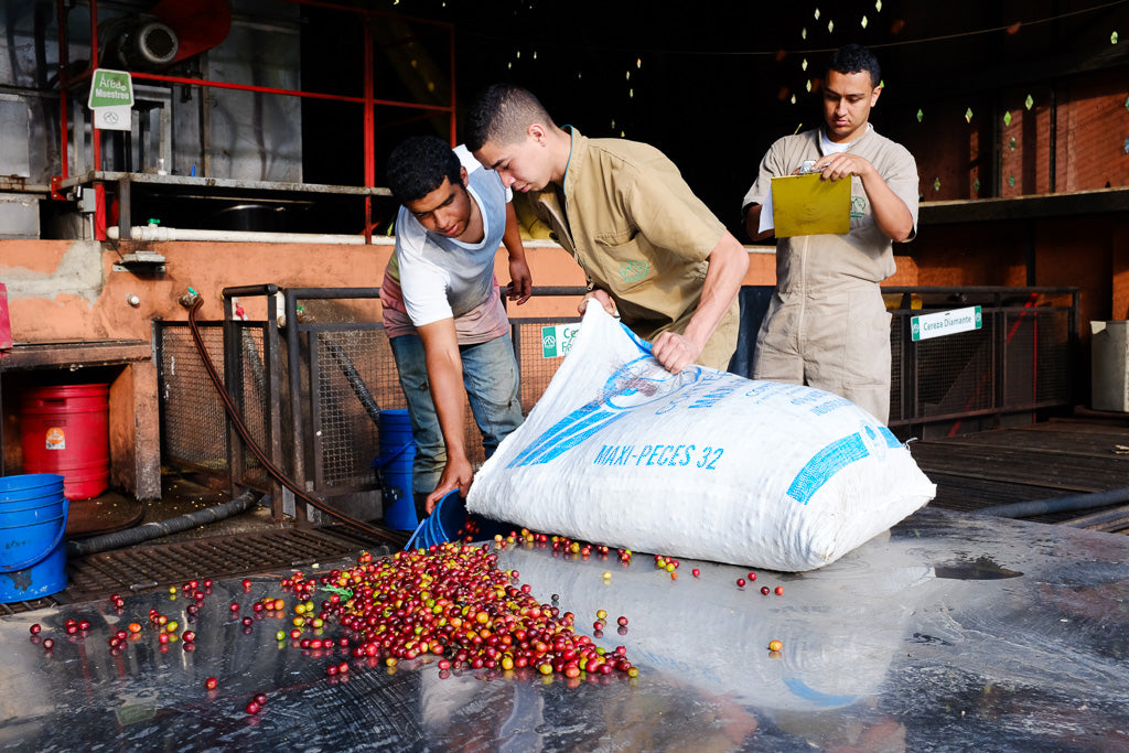Colombia La Conchita Microlot
