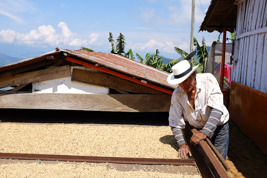 Colombia La Divisa Microlot