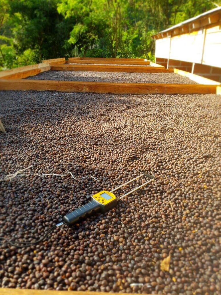 Colombia El Balcón Microlot