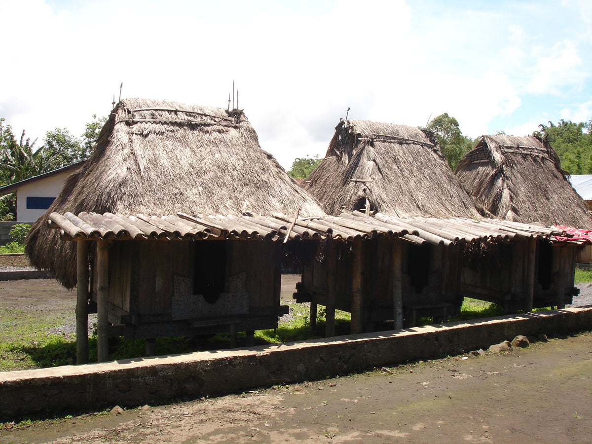 Indonesia Flores