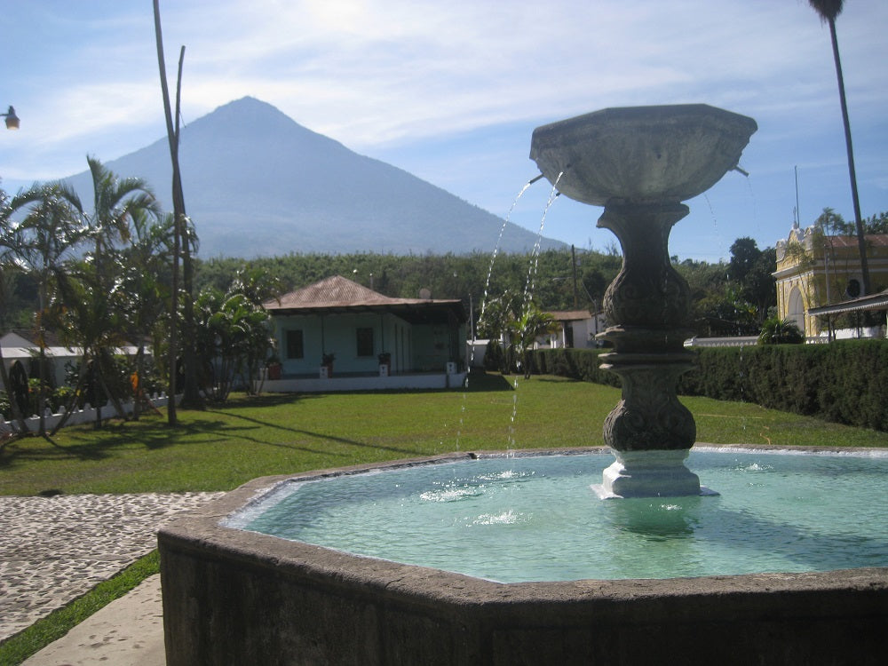 Guatemala Finca San Rafael Urias