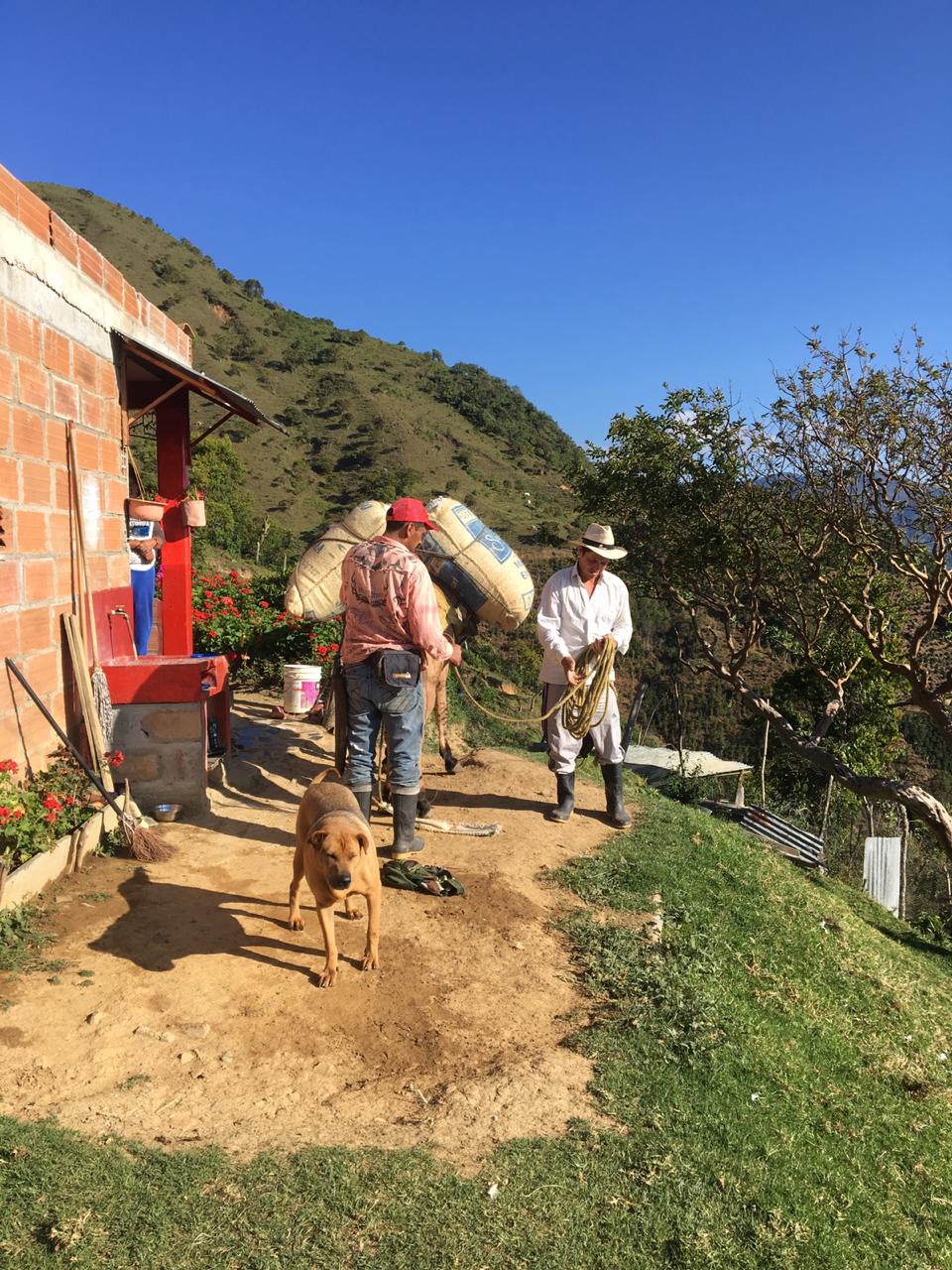 Giraldo Blend Colombia