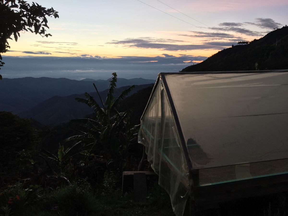 Giraldo Blend Colombia