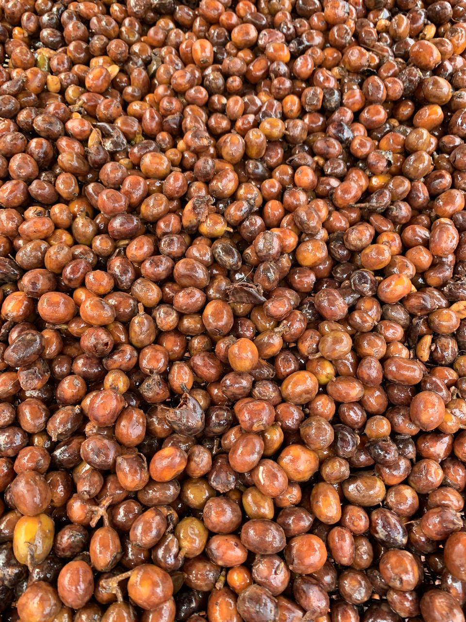 La Ricaurte CO2