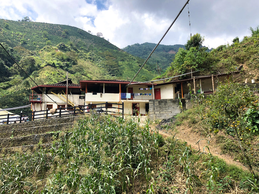 Colombia La Conchita Microlot