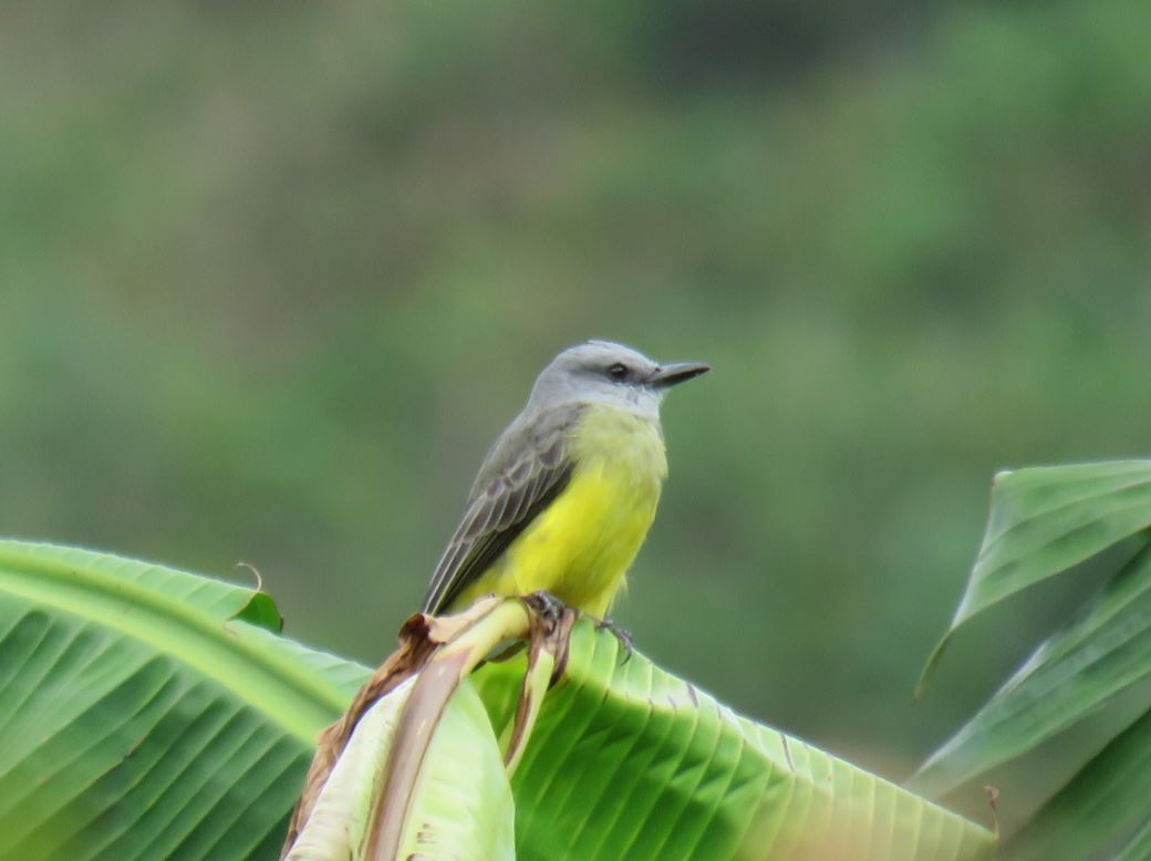 Colombia La Reserva