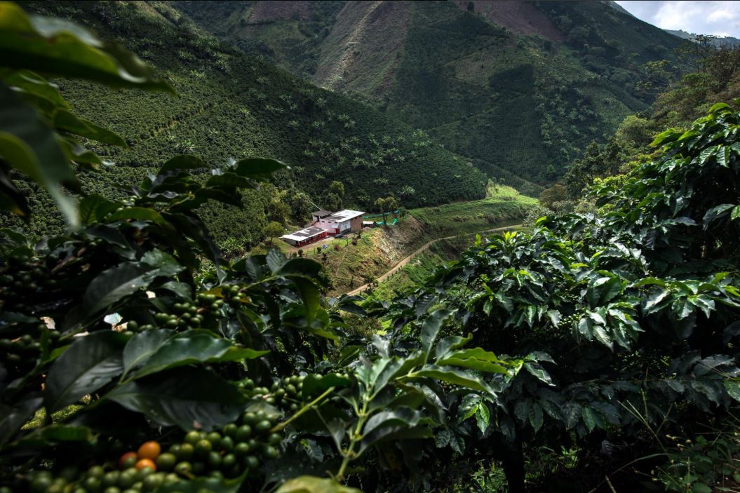 Colombia La Reserva