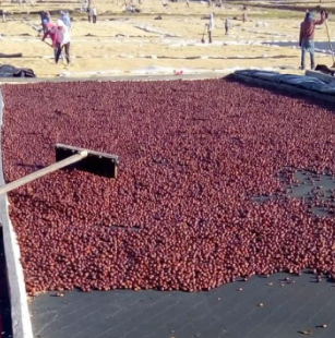 Nicaragua Aldea Global Natural