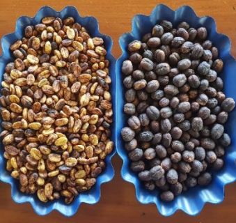 Nicaragua Aldea Global Natural