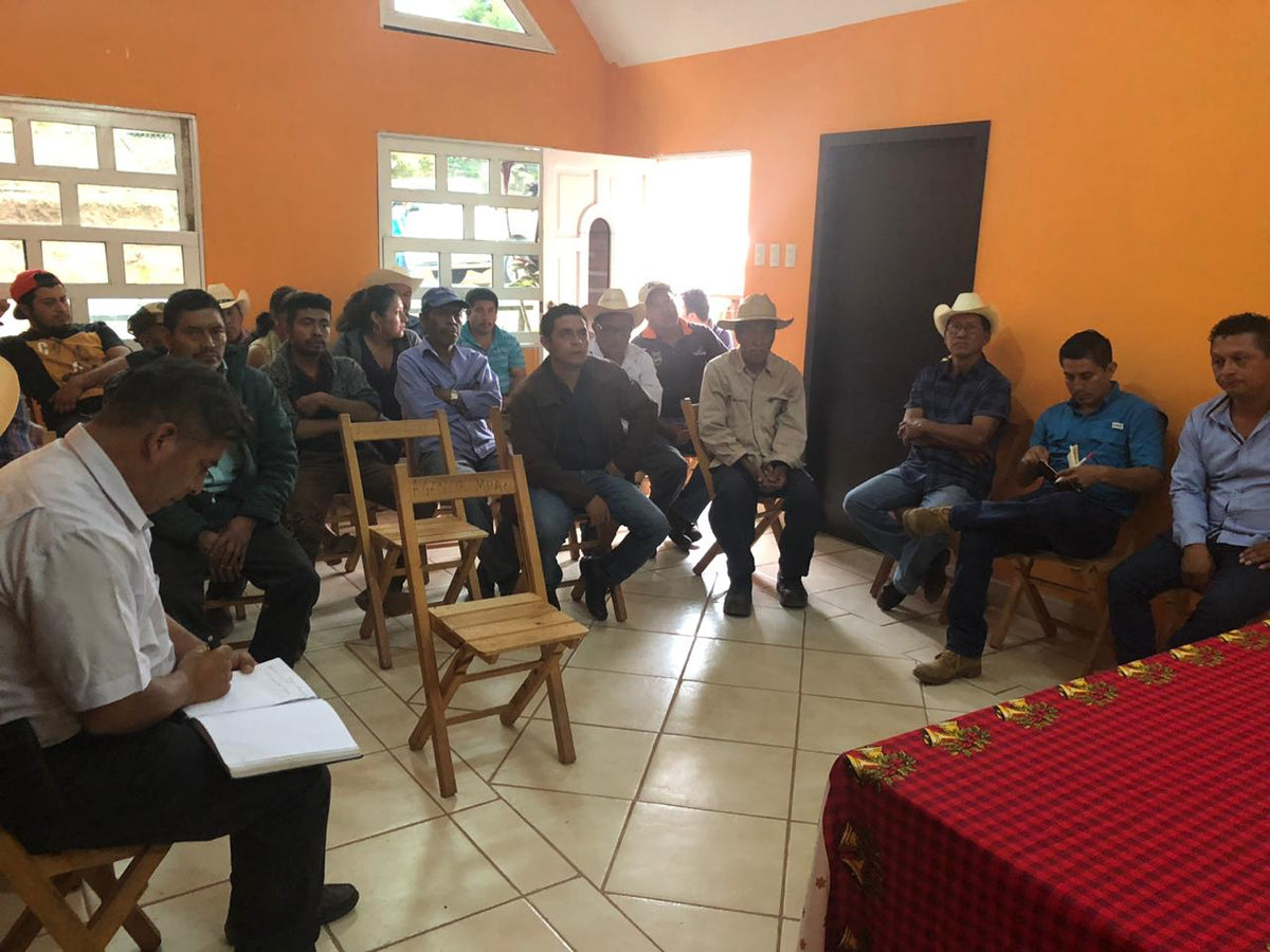 Mexico FESICH