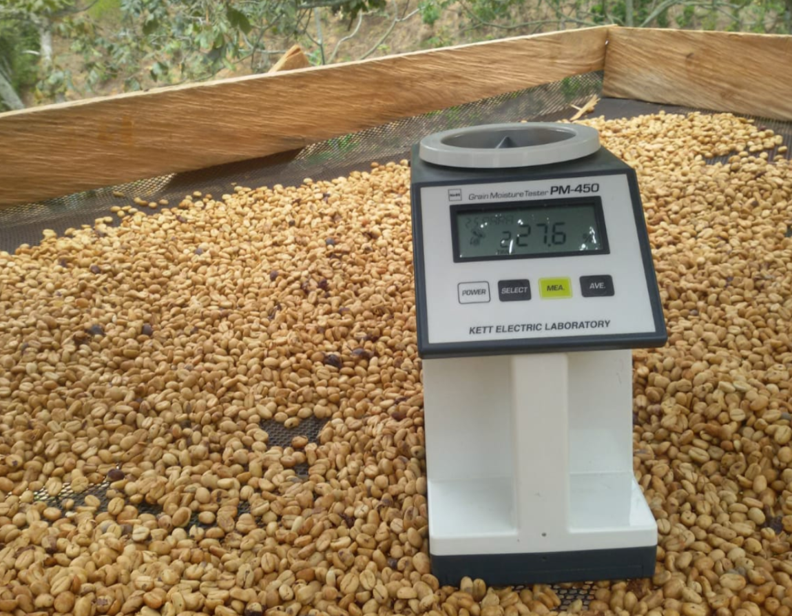 Colombia La Yalena
