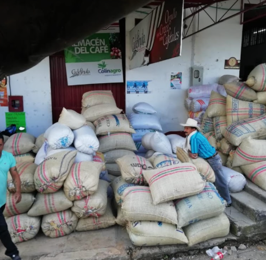 Colombia Cadefihuila Cooperative