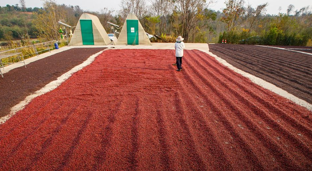 Fazenda Reunidas Bela Vista