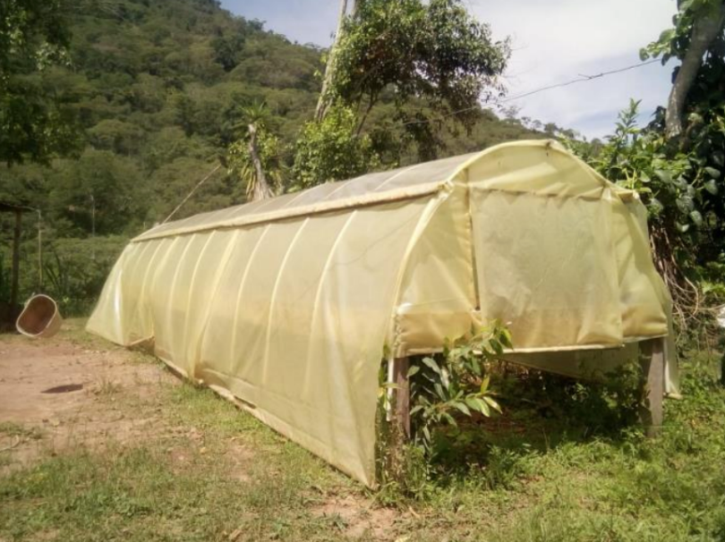 Asociación Tayronaca Colombia