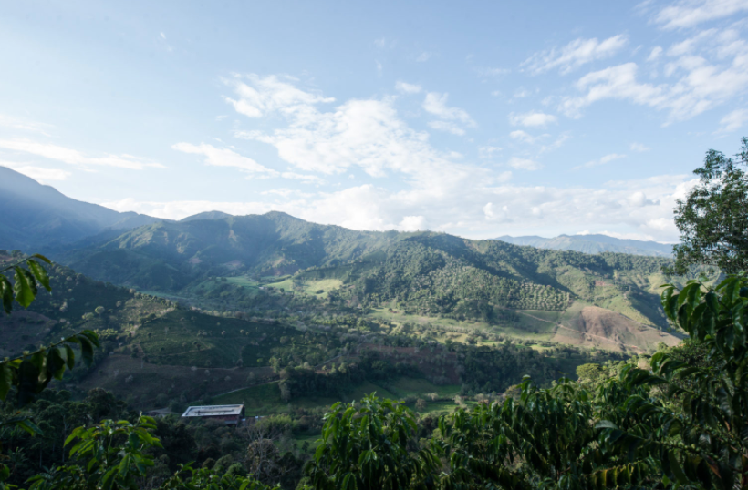 Bolivar Blend Colombia