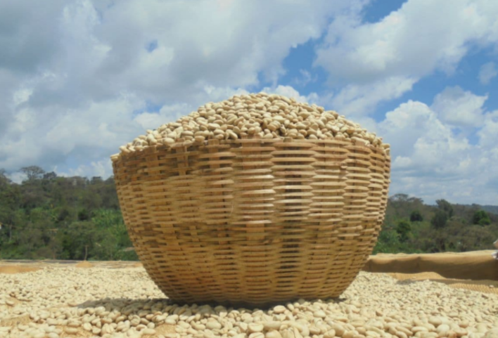 Worka Chelchele Yirgacheffe Ethiopia