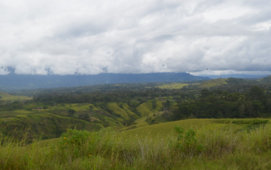 Papua New Guinea Kuta