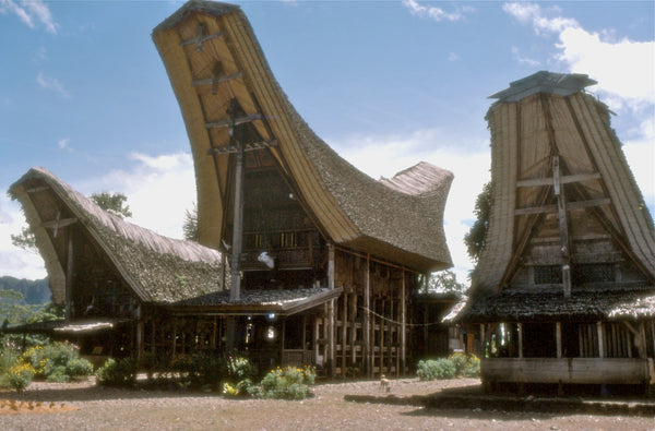 Indonesia Sulawesi Toraja