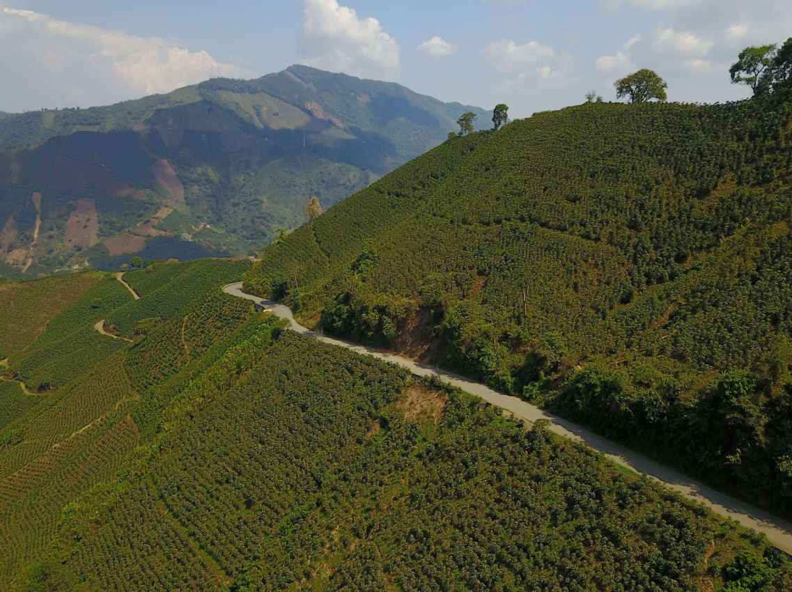 Colombia Urrao Chiroso Micro-lot