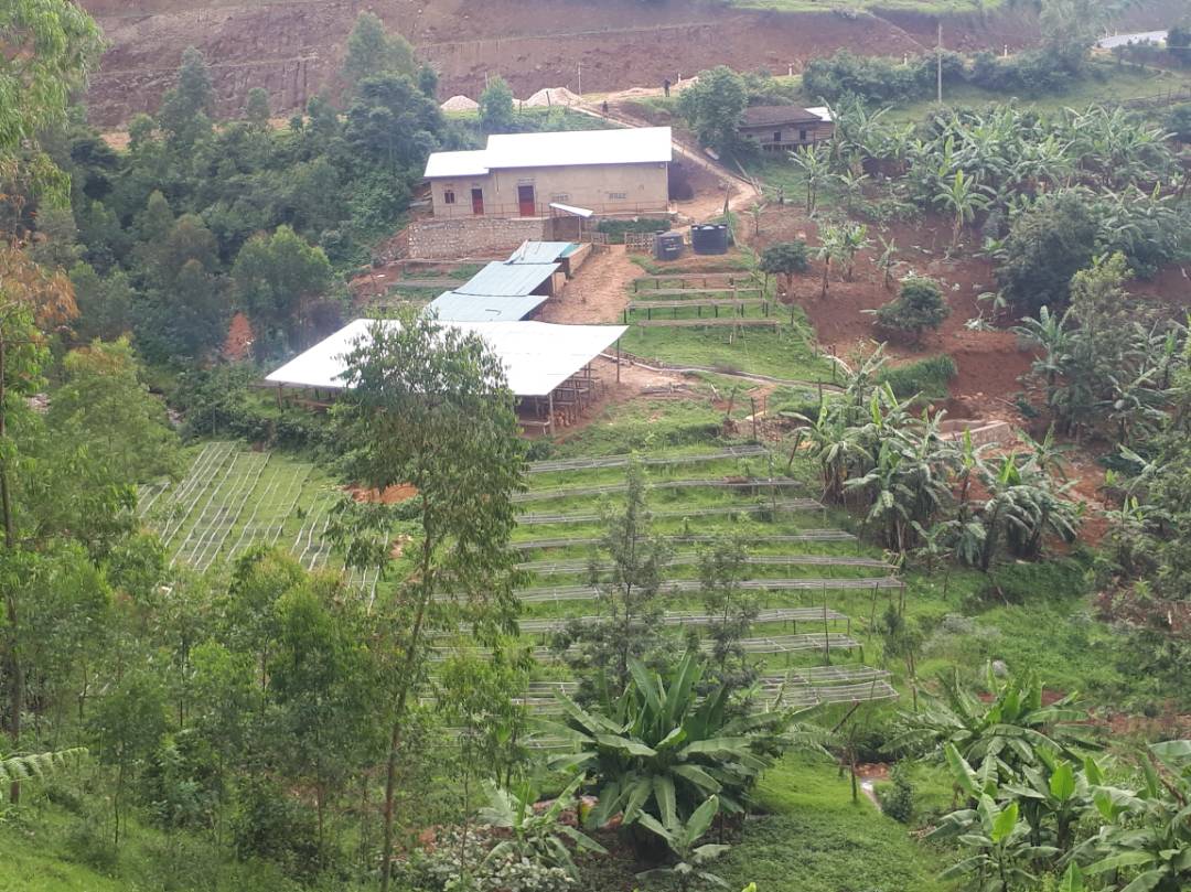 Rwanda Ruvumbu