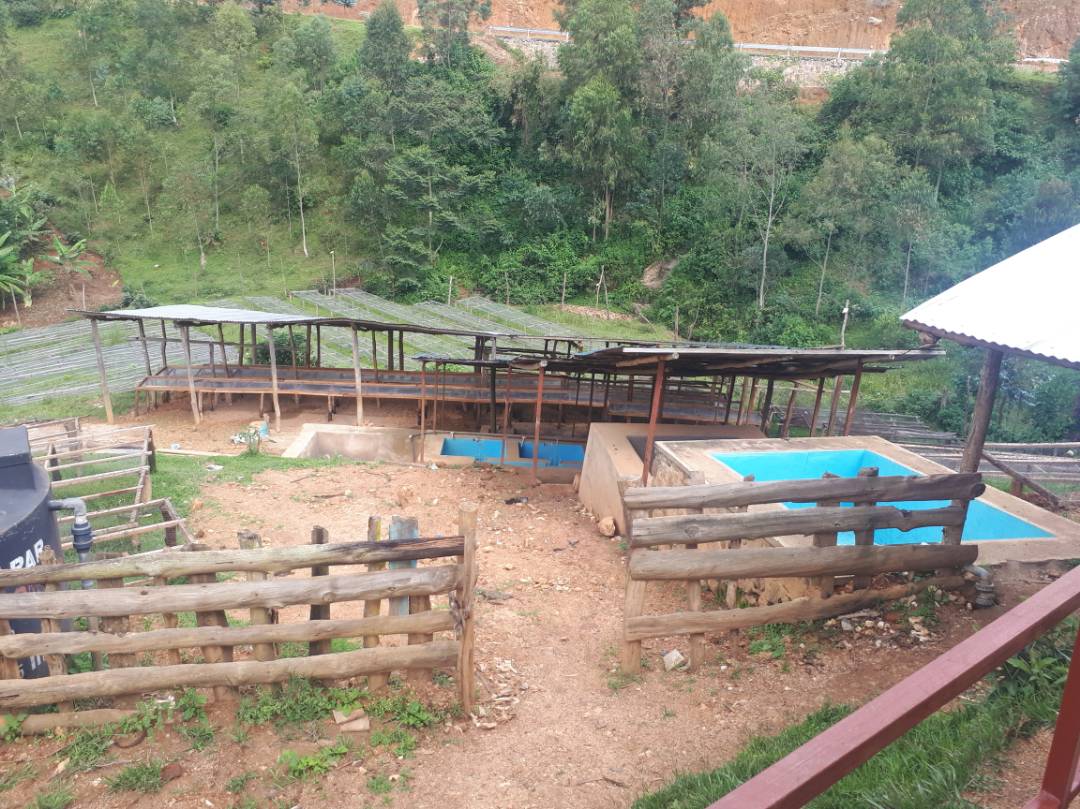 Rwanda Ruvumbu