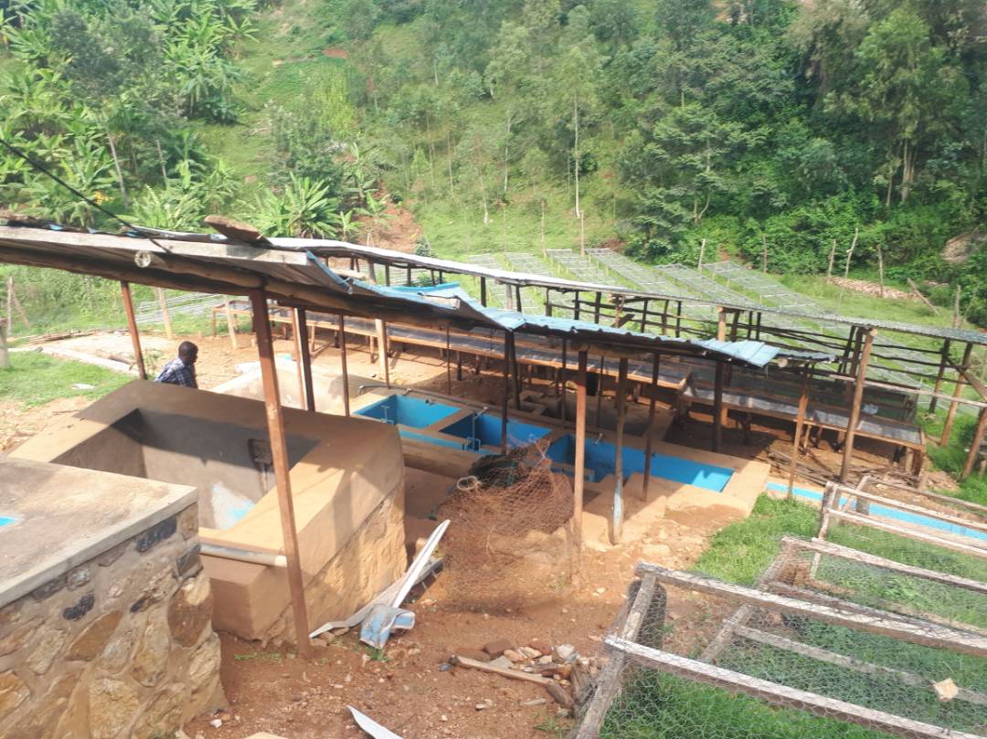 Rwanda Ruvumbu