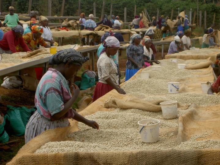 Kenya Kiambu Ibonia Estate