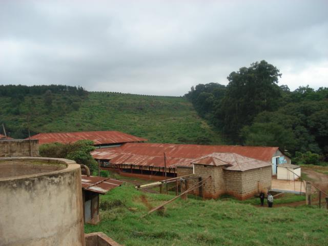 Kenya Nyeri Hill