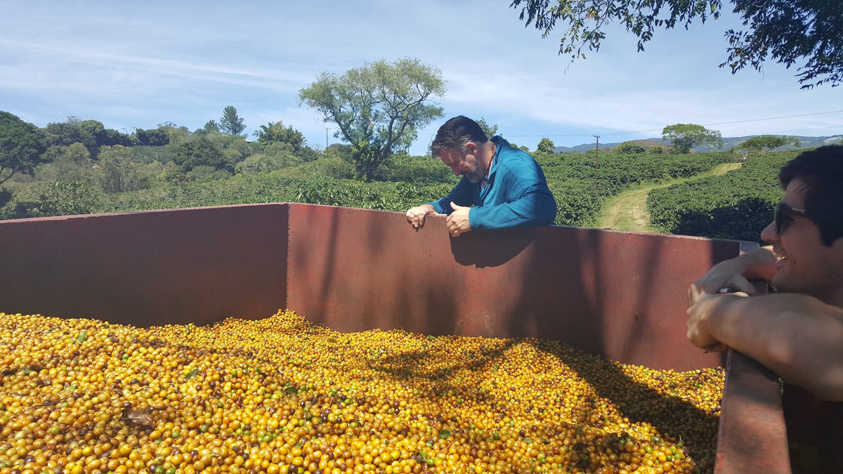 Balzac Brothers team visiting a coffee farm at origin