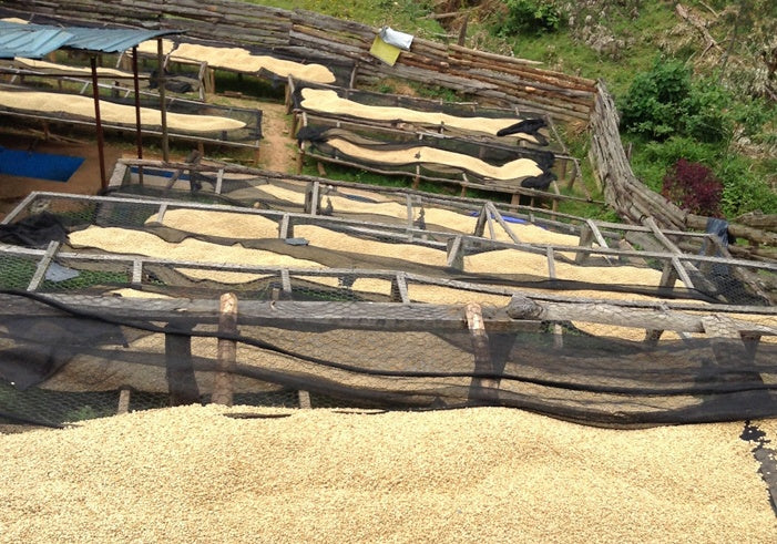 Rwanda Ruvumbu