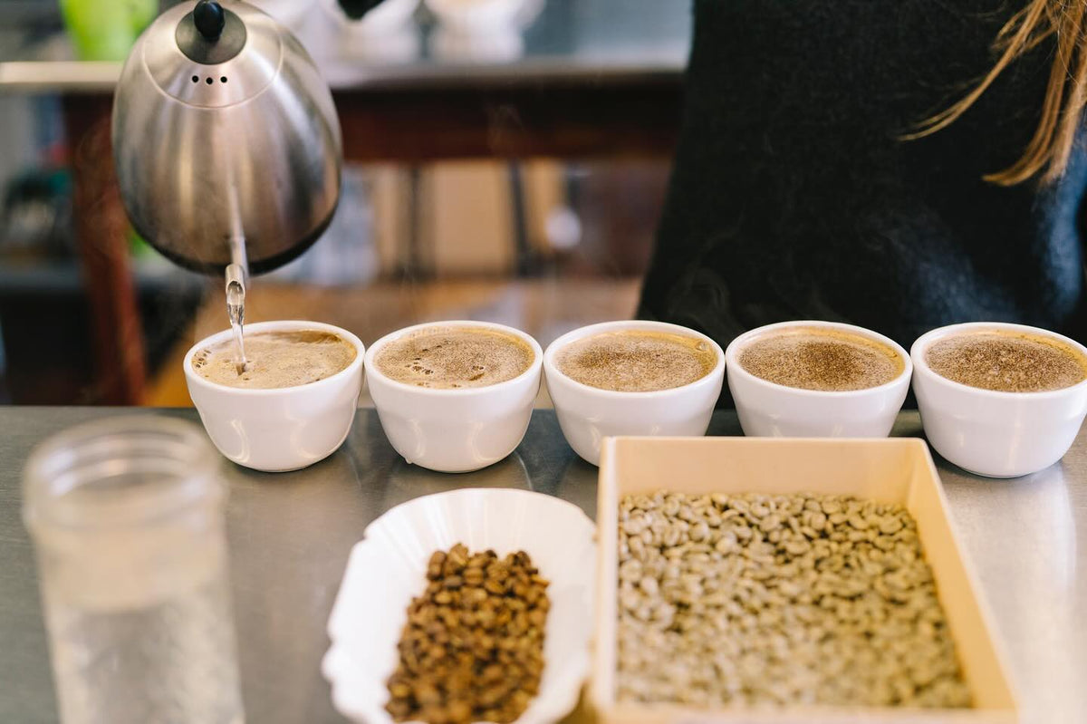 Green Coffee Samples for Roasters | Balzac Brothers